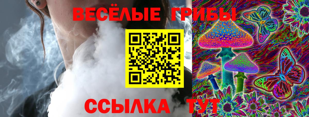 Галлюциногенные грибы Psilocybe  Галлюциногенные грибы GOLDEN TEACHER  Коряжма  Вход с VPN 