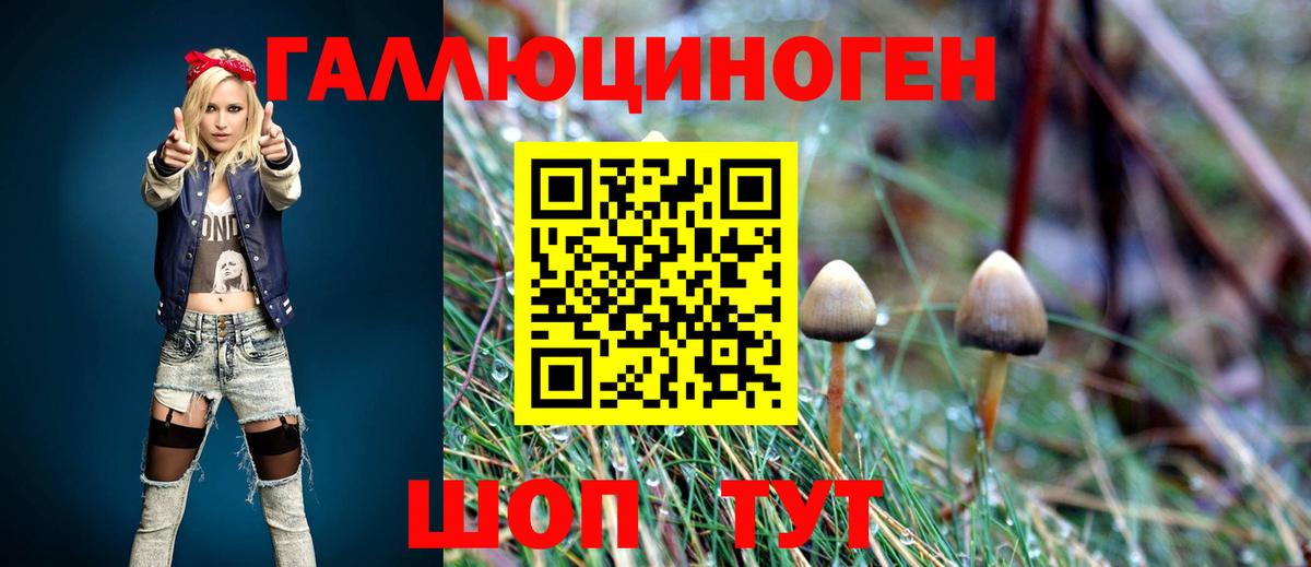 Галлюциногенные грибы ЛСД Коряжма